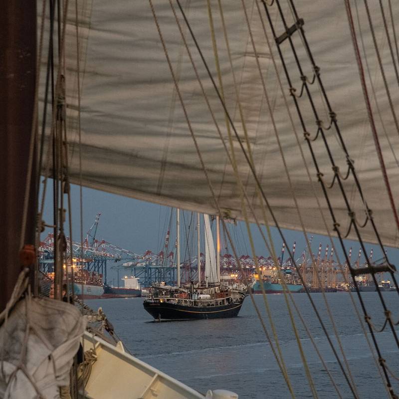 Blick durch die Segel eines Segelschiffes auf die Stadt und weitere Containerschiffe